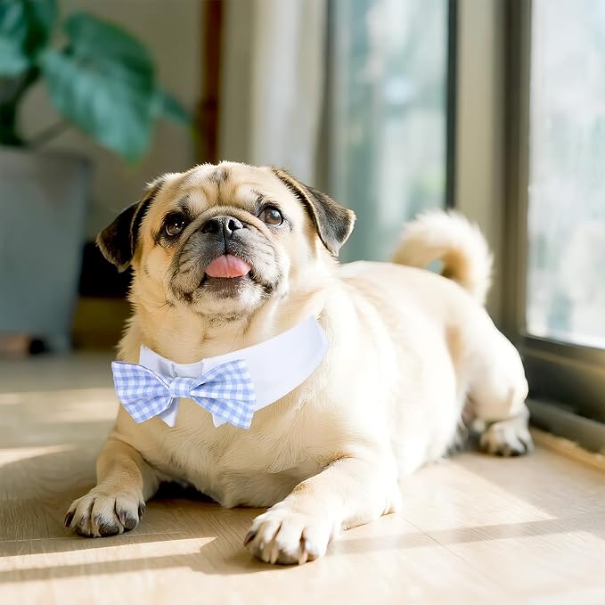 Segarty Dog Bow Tie for Neck Girth 10.2-12.6in, Adjustable Light Blue Plaid - Image 6