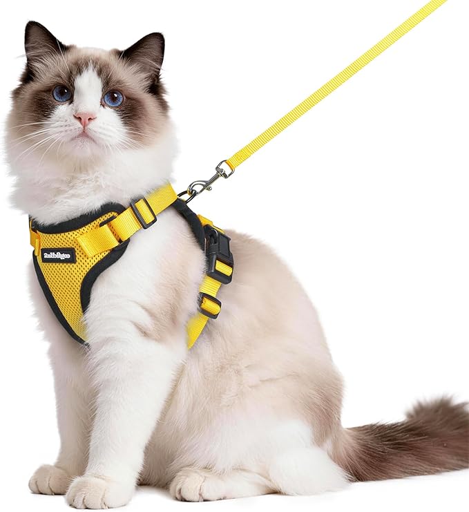 rabbitgoo Cat Harness and Leash by rabbitgoo