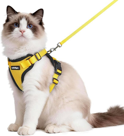 rabbitgoo Cat Harness and Leash by rabbitgoo