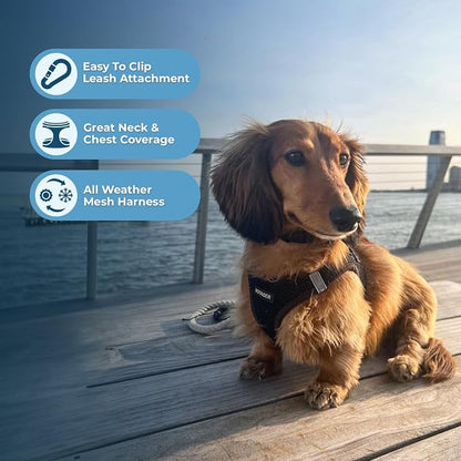 Best Pet Supplies Voyager Step-in Air All Weather Mesh Harness and Reflective - Image 5
