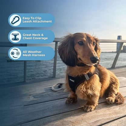 Best Pet Supplies Voyager Step-in Air All Weather Mesh Harness and Reflective - Image 5