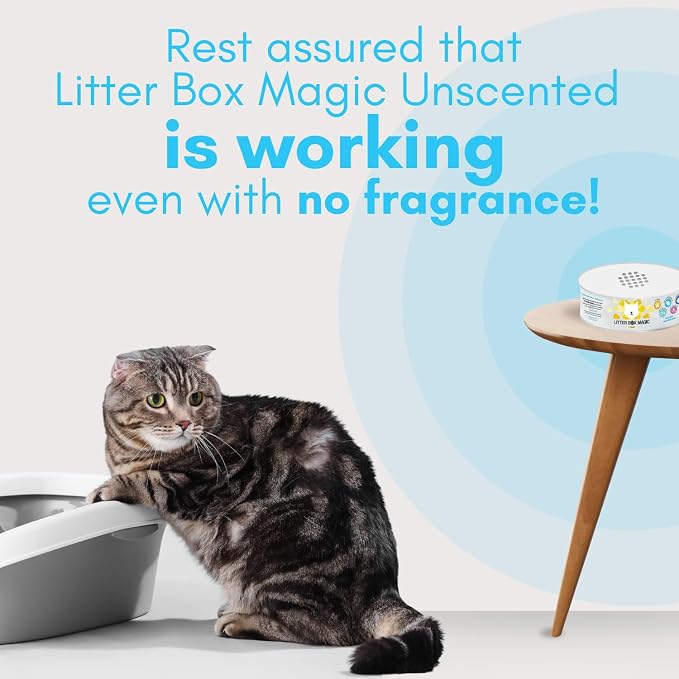 Cat Litter Deodorizer Jar - Image 8