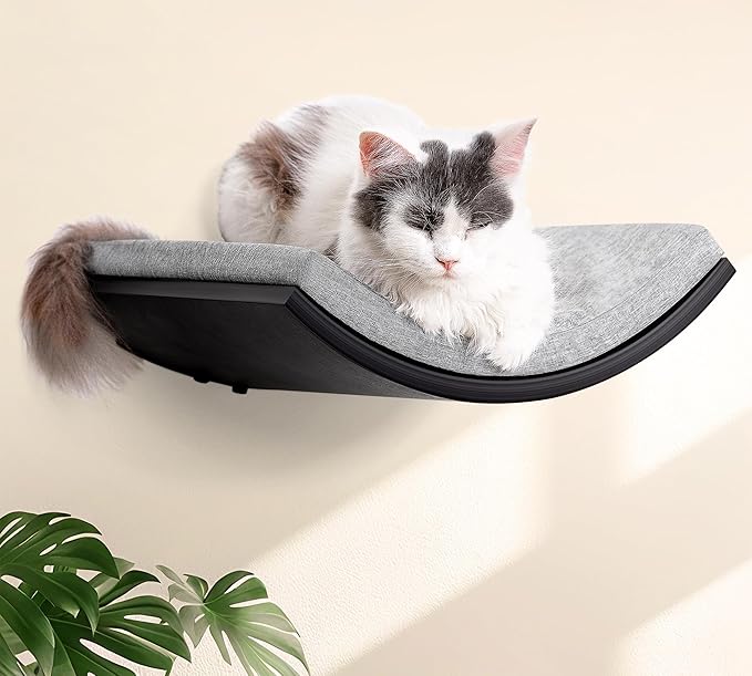 Cat Wall Shelves Set - Image 7