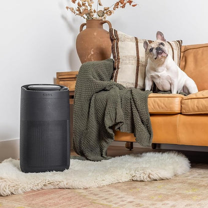 Sans HEPA 13 Air Purifier - Image 2