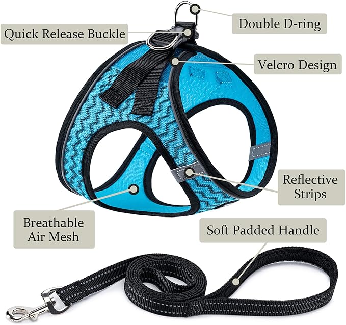 BOOMIBOO Dog Harness with Leash Set, No Pull Adjustable Reflective Step-in - Image 2