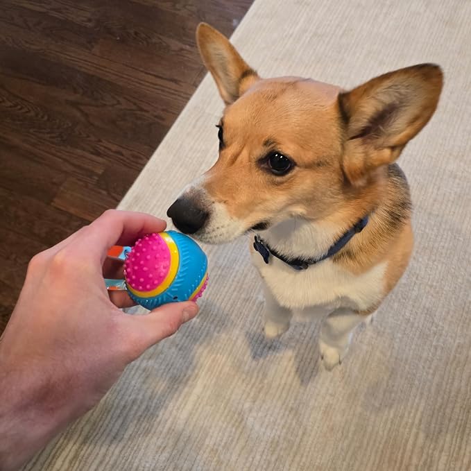 SPOT Sensory Ball for Soft Chewers - Image 9