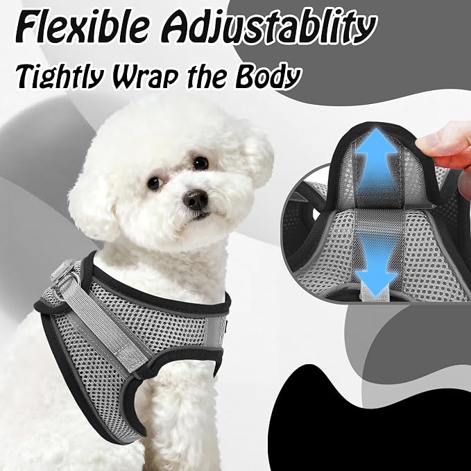 AIITLE Dog Harness, No-Pull Cat Harness - Image 7