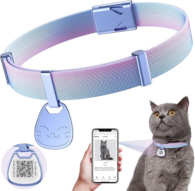 Cat Collar with QR Code Name Tag, Breakaway Kitten Collar by typecase