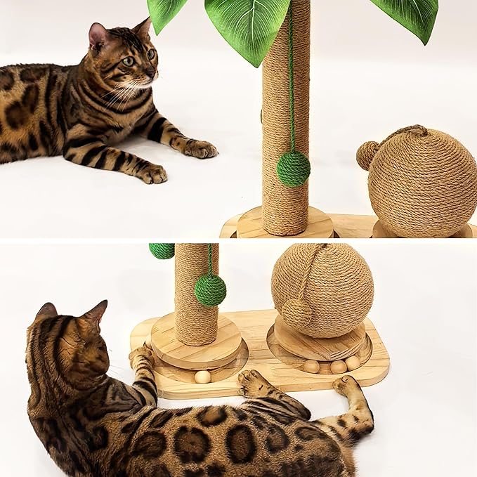 Cat Scratching Post, Wooden Cat Scratcher Toy - Image 7
