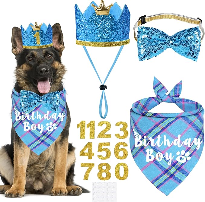 Dog Birthday Party Supplies by JOTFA