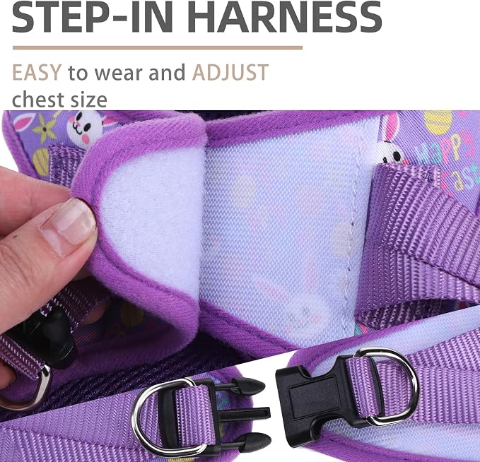 PUPTECK Adjustable Dog Harness Collar and Leash Set Step in No Pull Pet Harness - Image 3