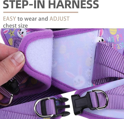 PUPTECK Adjustable Dog Harness Collar and Leash Set Step in No Pull Pet Harness - Image 3
