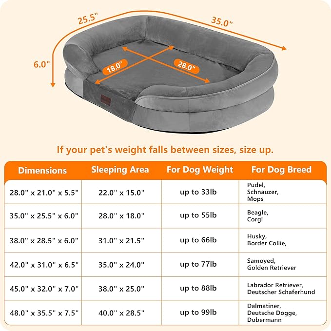Dwanton Orthopedic Dog Bed for Medium Dogs - Image 4