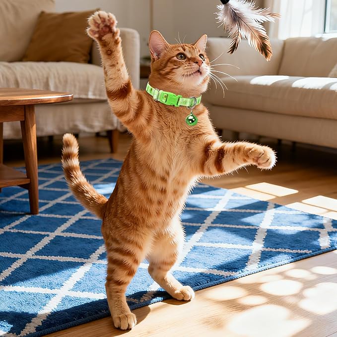 Small Dog Collar with Bell - Image 2