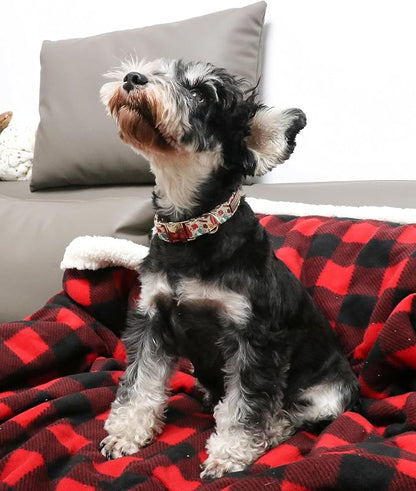 Unique style paws Halloween Dog Collar Metal Buckle Pumpkin Collar Gift Durable - Image 5