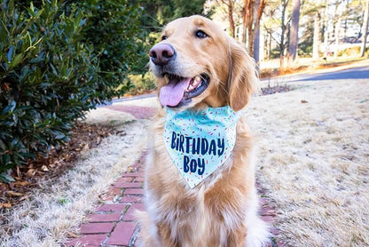 Birthday Boy Dog Bandanas 1 Pack, Pet Scarves - Image 4