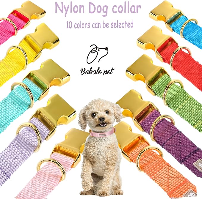 Nylon Dog Collar - Image 7