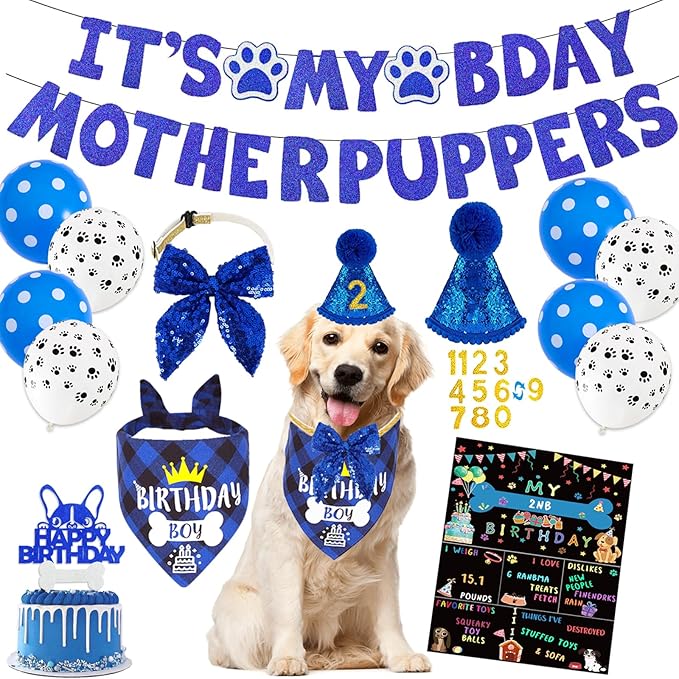 Blue Dog Birthday Party Supplies Pet Birthday Bandanas Boy Doggy Birthdays Hat by Unknown