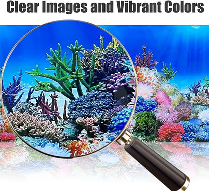 Fish Backgrounds Paper Double Sides Undersea Aquarium Background Poster - Image 3
