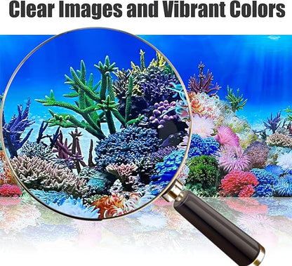 Fish Backgrounds Paper Double Sides Undersea Aquarium Background Poster - Image 3