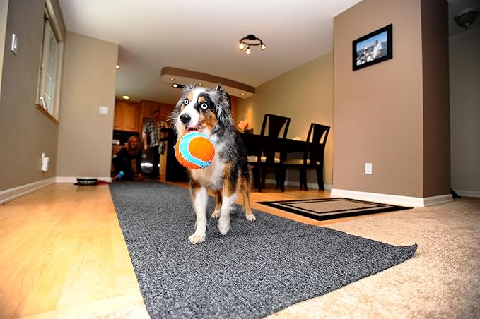 Chuckit! Indoor Fetch Ball Dog Toy - Image 5