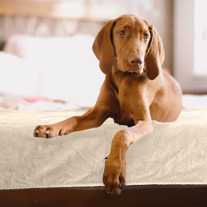 PETMAKER Dog Blanket - Image 7