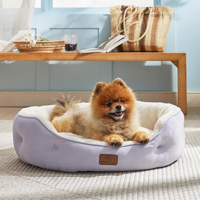 Bedsure Dog Beds for Small Dogs - Image 5