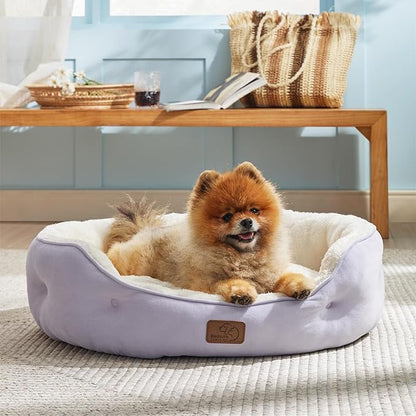 Bedsure Dog Beds for Small Dogs - Image 5