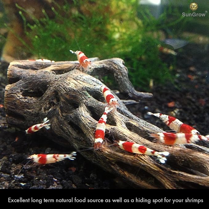 SunGrow Cholla Wood, 6” Climbing Logs, Chew Toy, Aquarium Fish, and Shrimp - Image 3