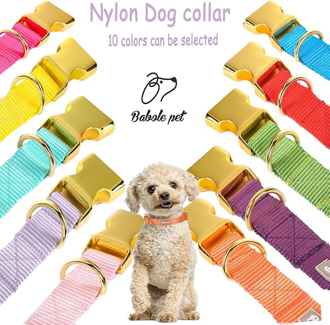 Nylon Dog Collar - Image 7