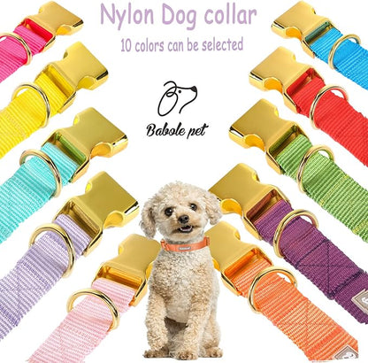 Nylon Dog Collar - Image 7