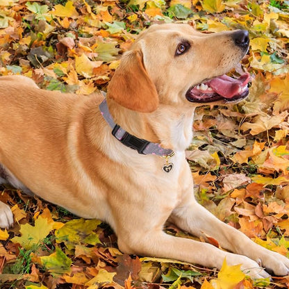 Cotton Handmade Dog Collar Cute and Distinctive Patterns Grey Heart - Image 7
