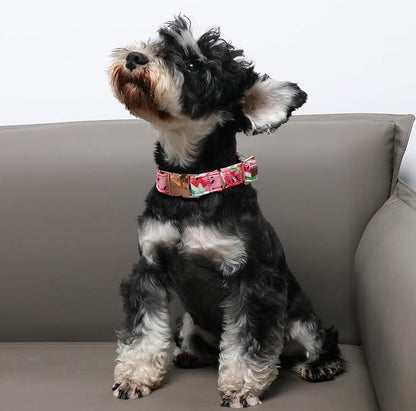 Unique Style Paws Dog Collar Metal Buckle Watermelon Cute Collar - Image 3