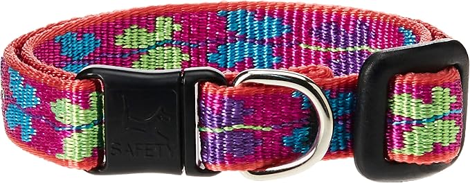 LupinePet Originals 1/2" Wing It Cat Safety Collar by LupinePet