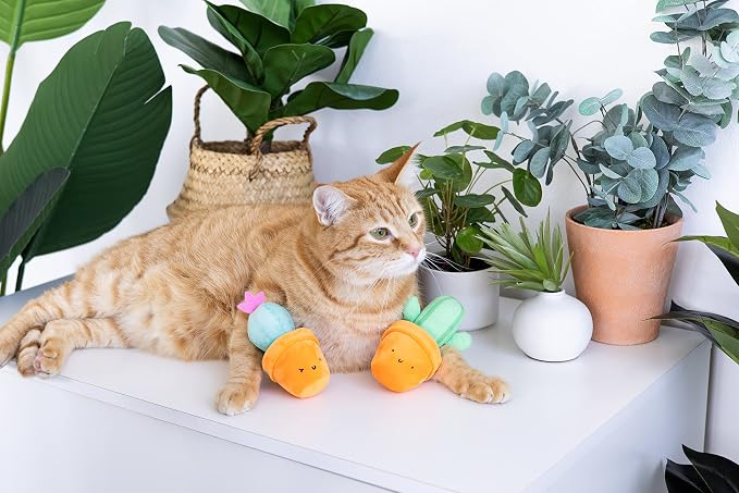 Pearhead Prickly Plants Cat Toy Set, Cute Catnip Toys, Plush Cactus Interactive - Image 6