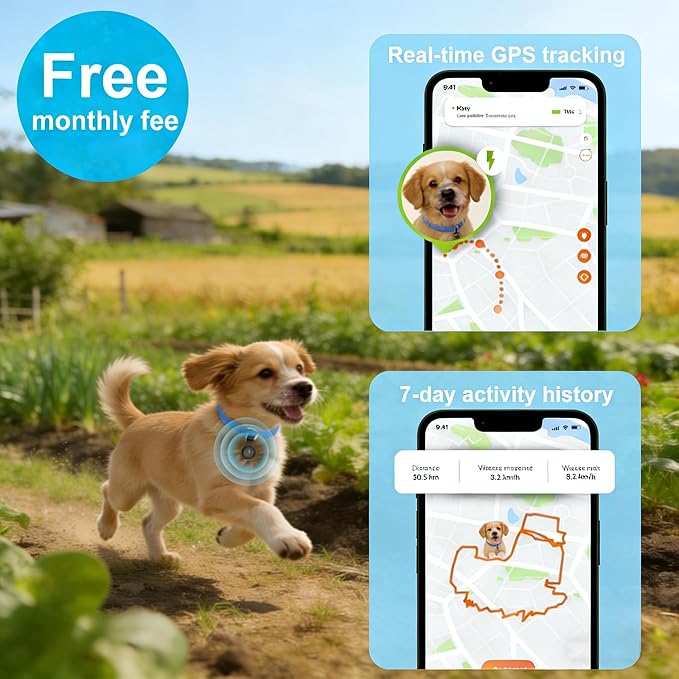GPS Tracker for Dogs, Smart Collar - Image 4
