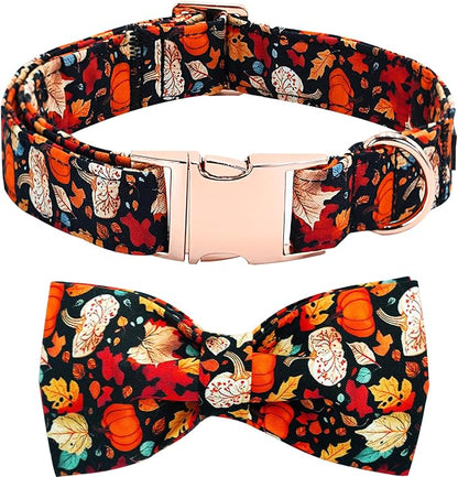 Fall Dog Collar, Leaf Pumpkin Print Adjustable Pet Collar Cute Cotton Soft by BoboRainbow