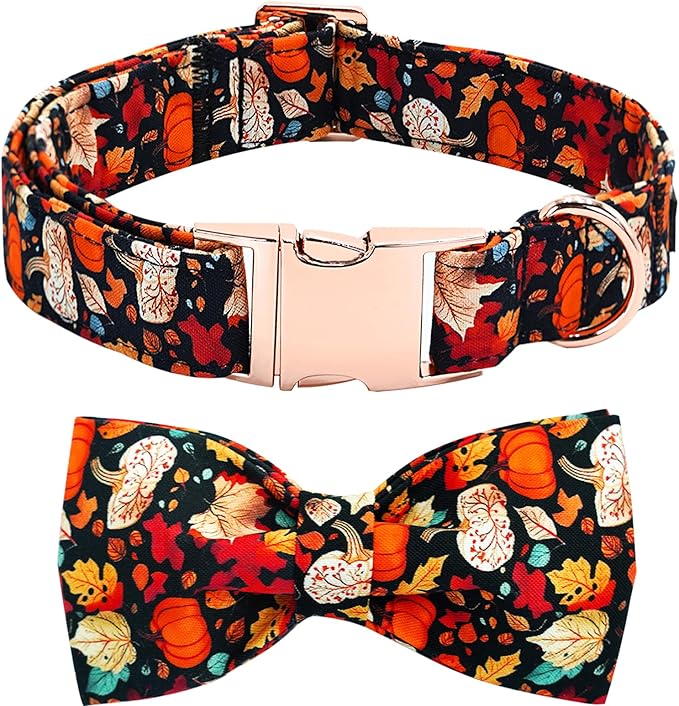 Fall Dog Collar, Leaf Pumpkin Print Adjustable Pet Collar Cute Cotton Soft by BoboRainbow