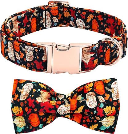 Fall Dog Collar, Leaf Pumpkin Print Adjustable Pet Collar Cute Cotton Soft by BoboRainbow
