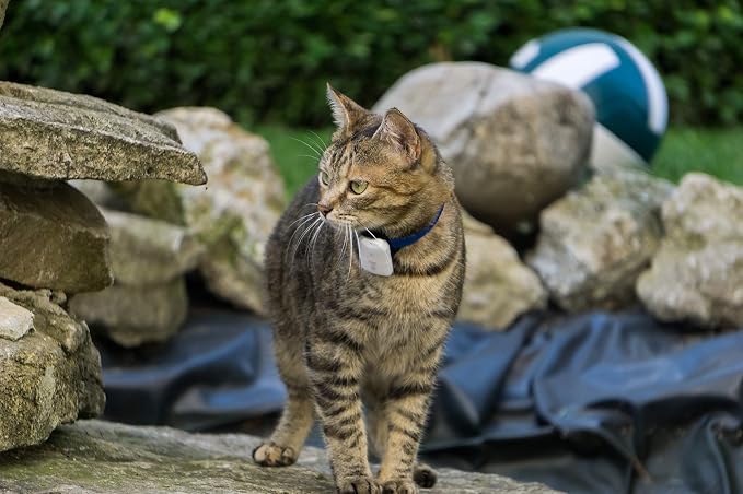 Cat Tracker RF Finder Longest Range up to 1600 ft lightest pet Safety Tracking - Image 9
