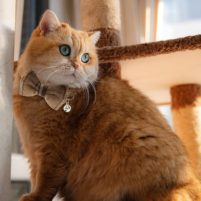 Breakaway Cat Collars - Image 6
