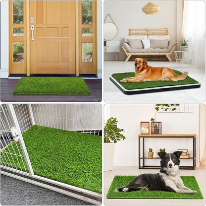 Artificial Grass, Professional Dog Grass Mat, Potty Training Rug and - Image 7
