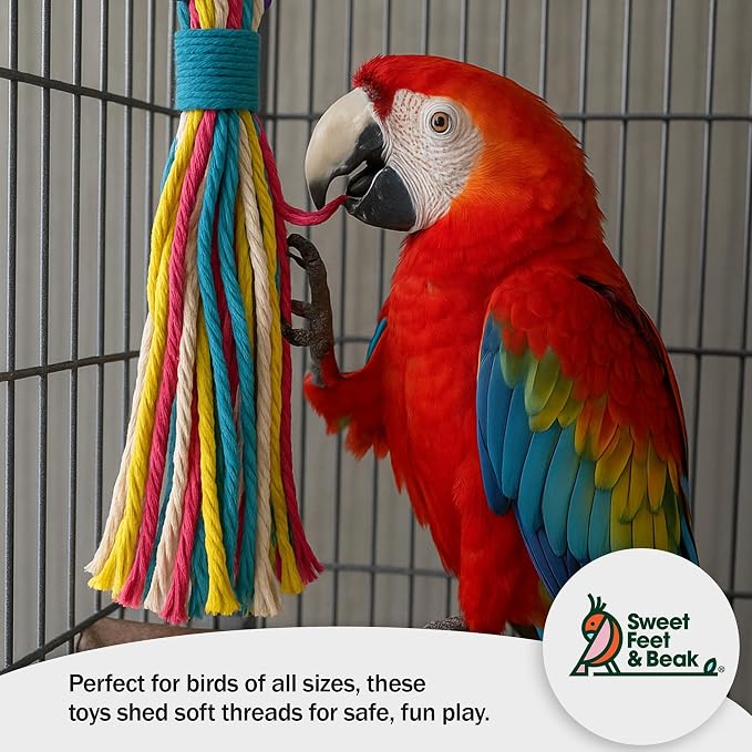 Sweet Feet & Beak Cotton 11" Rope Toy - Image 4