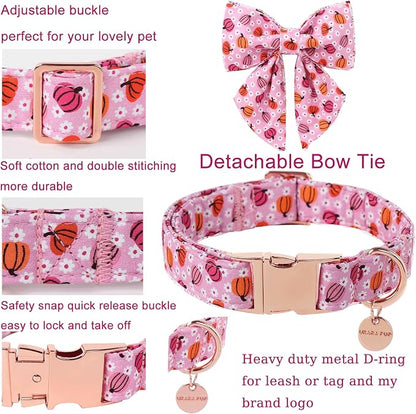 Halloween Pumpkin Dog Collar - Image 2