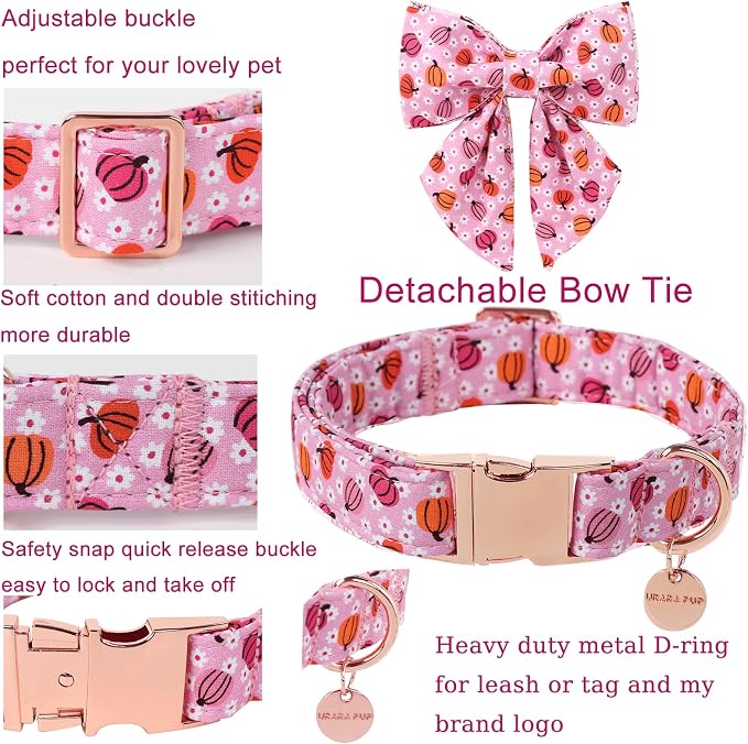 Halloween Pumpkin Dog Collar - Image 2
