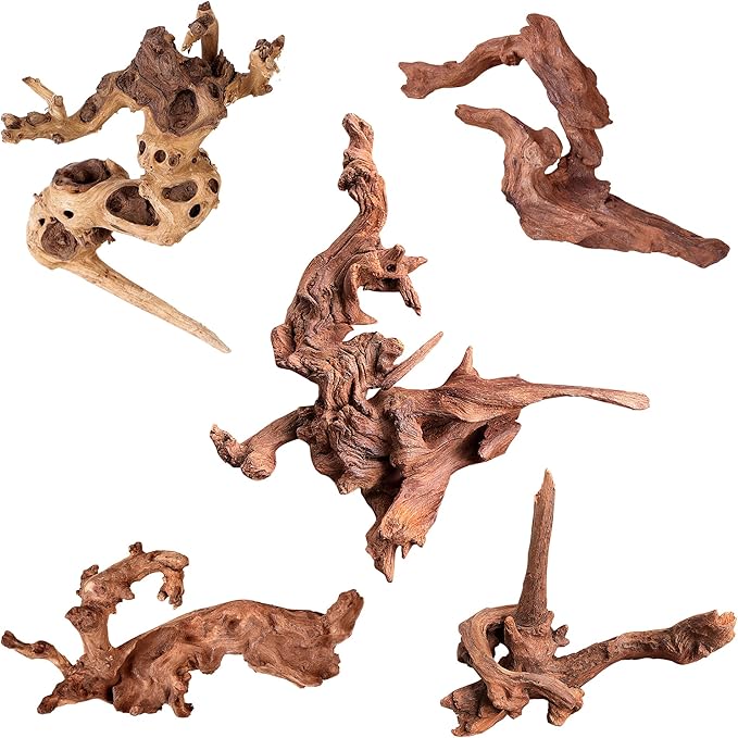 majoywoo Natural Small Coral Driftwood by Majoywoo