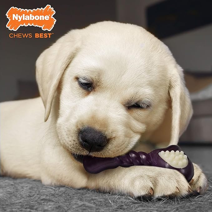 Nylabone Double Action Bone Puppy Chew Toy, Rubber Teething Toys - Image 2