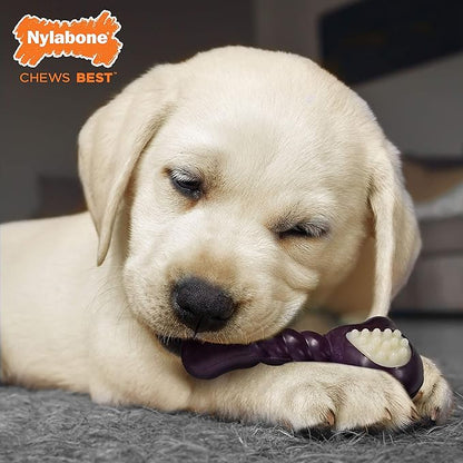 Nylabone Double Action Bone Puppy Chew Toy, Rubber Teething Toys - Image 2