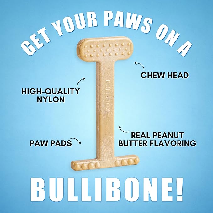 Bullibone Nylon Dog Chew Toy for Aggressive Chewers - Image 3