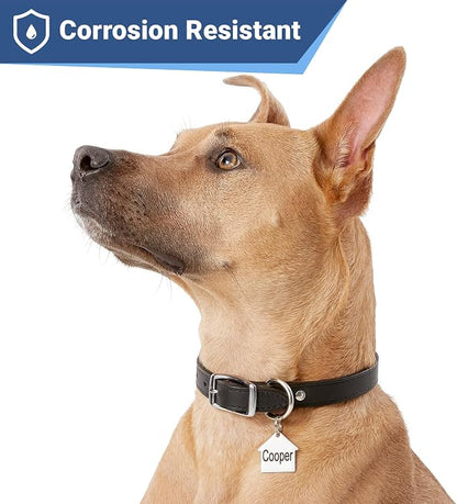 GoTags Stainless Steel Pet ID Tags, Personalized Dog Tags and Cat Tags - Image 4